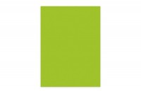 ELCO Office Color Papier A4, 74616.62, 80g, grün 100 Blatt