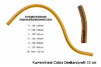 AKRYLA Kurvenlineal  30cm, 150/30, orange/grün