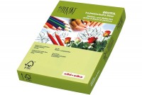 PAPYRUS Karton Bristol A4, 88077859, 300g, weiss 125 Blatt PAPYRUS Karton Bristol A4, 88077859, 300g, weiss 125 Blatt