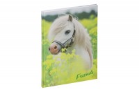 PAGNA Freundebuch, 20346-15, kleines Pony 60S
